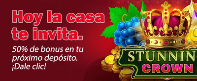 Bienvenido a palpito24.com