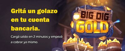 Interfaz de palpitos 24